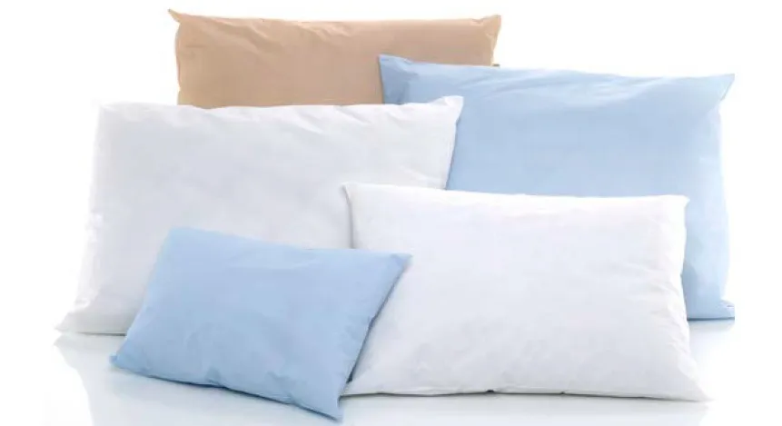 The Pillow Factory CareGuard Plus Pillow 21X27, Blue, Full Loft Level