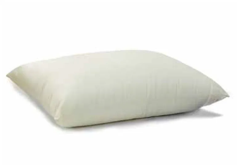 The Pillow Factory Nylon Pillow 19X25, Beige, Full Plus Loft Level wit