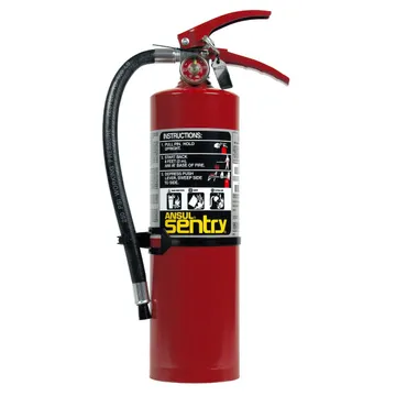 Ansul Sentry® AA05  Dry Chemical Fire Extinguisher, Hand Portable, FORAY, 5lb - 429002