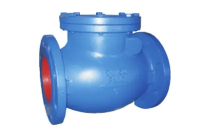 WEILONG Swing Check Valve - DB-5201-200-F
