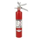 AMEREX 2.5 lb. ABC Fire Extinguisher, Model B417T