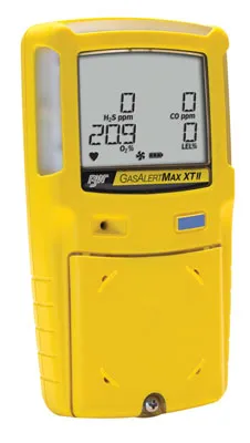 BW Technologies GasAlertMax XT II 4-Gas Detector (H2S/O2/LEL/CO) - XT-XWHM-Y-EU