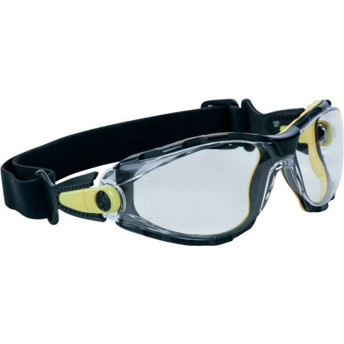 Delta Plus Anti-Fog Protective Goggles with Dust Sealing - PACAYSTIN