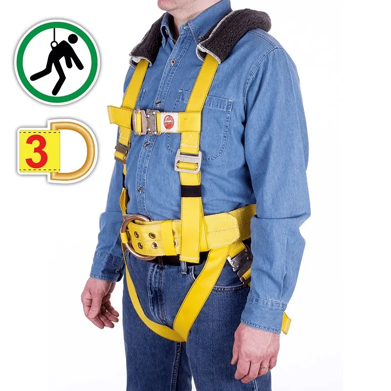 Lewis Fall Arrest Harness FW-3 with Three D-Rings